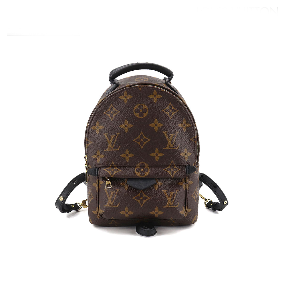 Louis Vuitton Monogram Palm Springs Backpack Mini Rucksack
